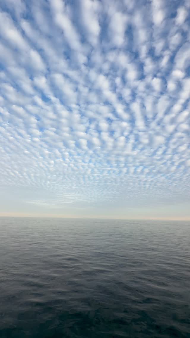 What a morning 🙌🏼