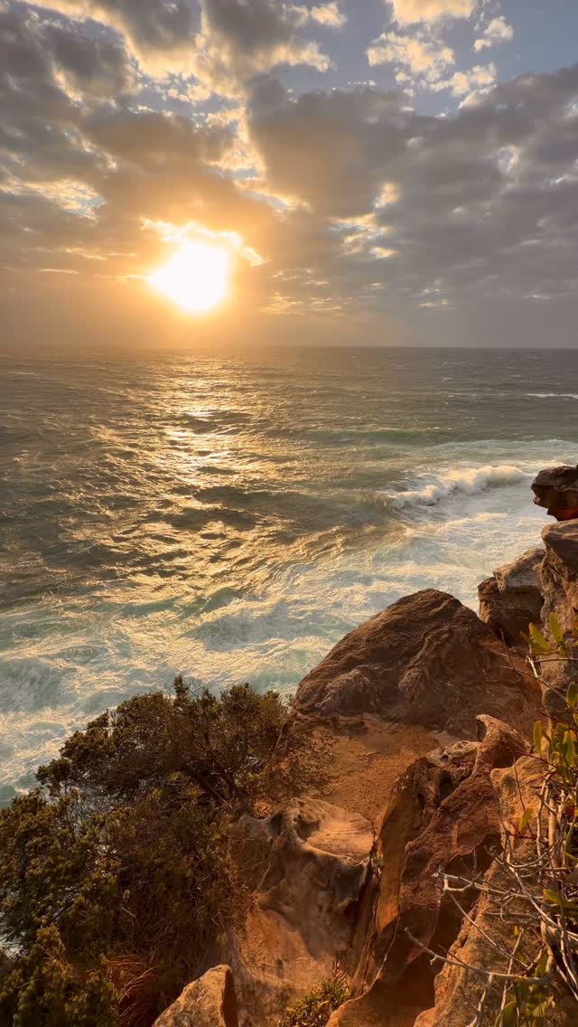 Daily Sunrise at Bronte Beach 🌅