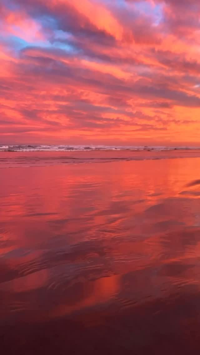 Australia is truly pure magic ✨