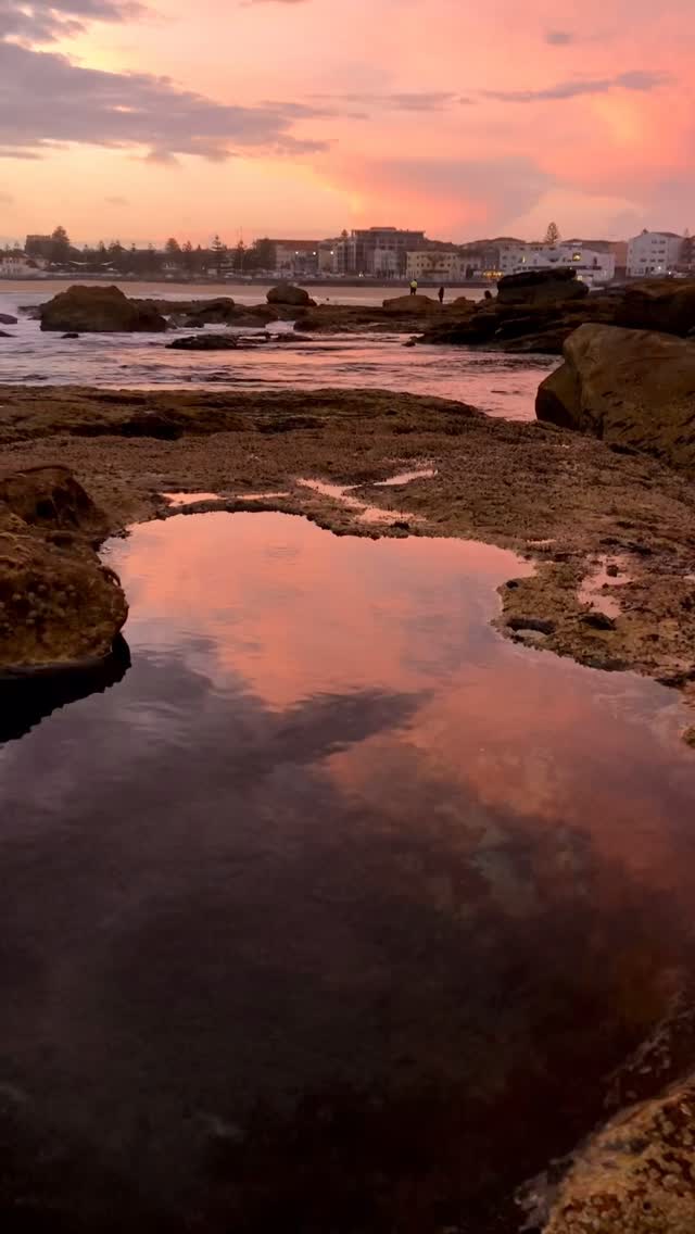 Bondi on fire 🔥 

#bondibeach