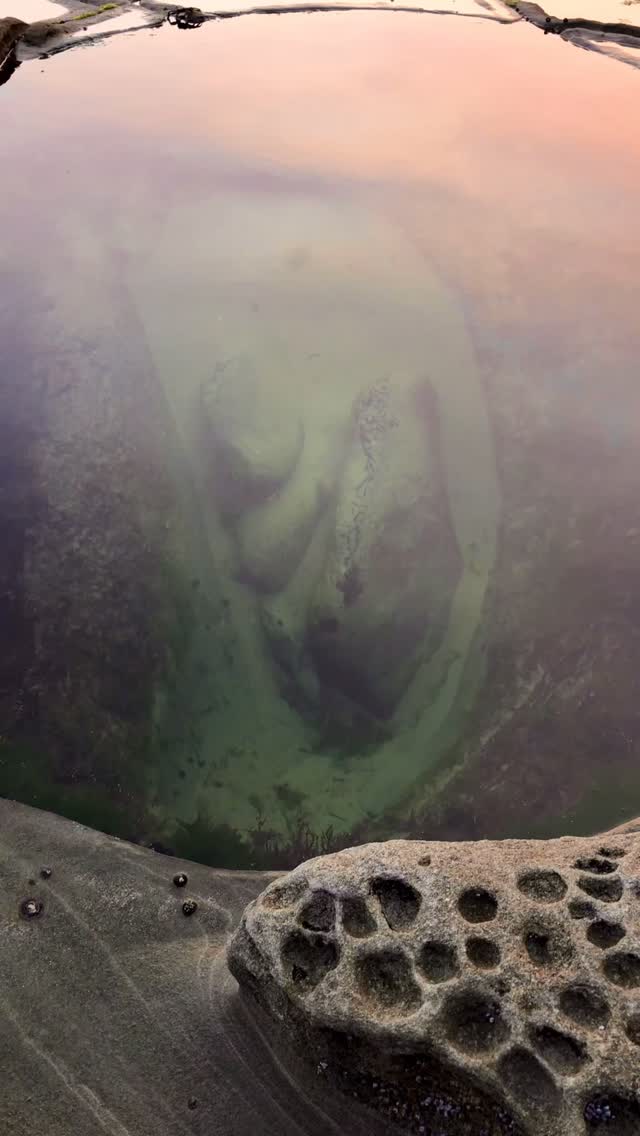 The best sunset spot in Sydney 🎱

#figure8pools