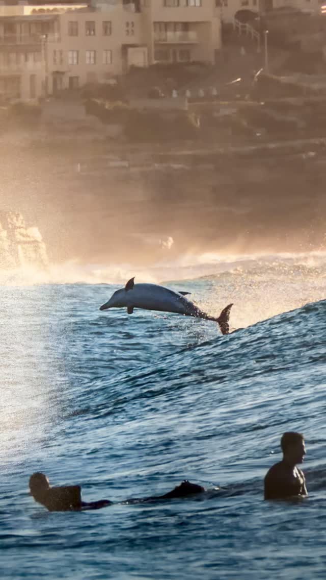 Fine Art Print - Rapture

#brontebeach #seeaustralia #sunrise #sydney
