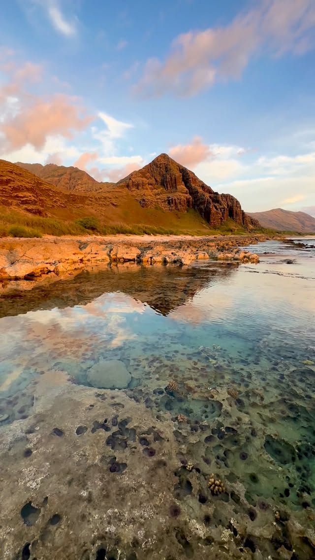 West side is the best side 🫶🏻