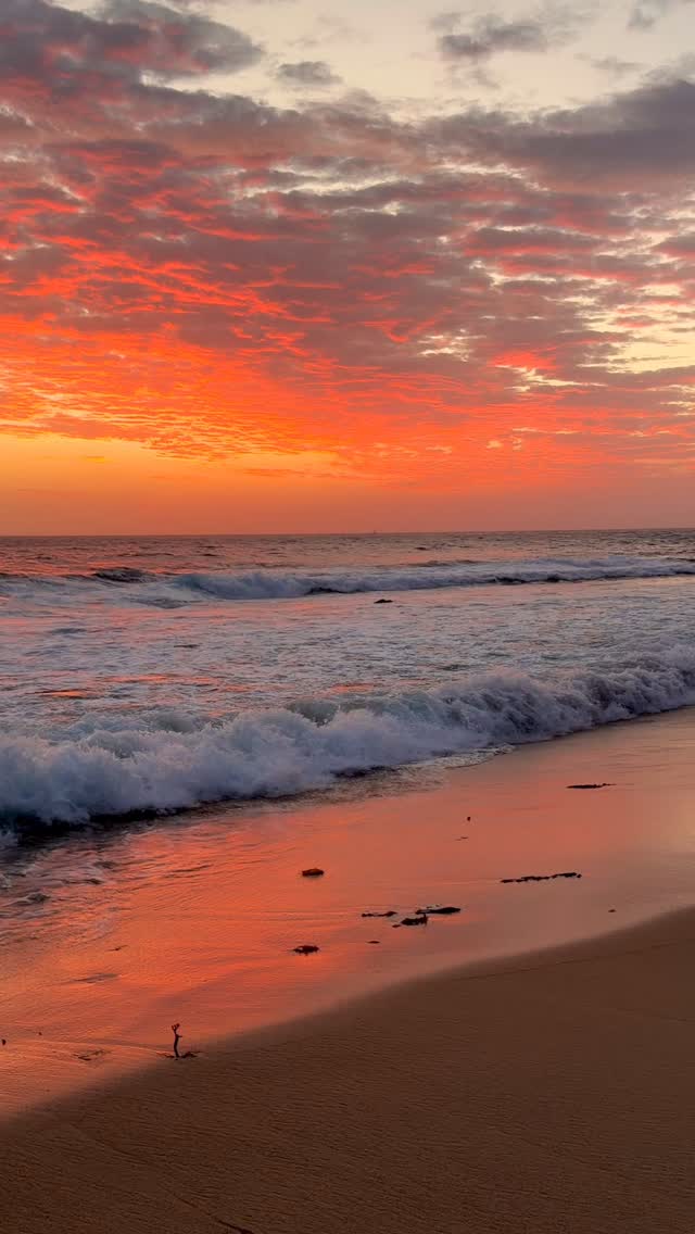 Daily Sunrise at Bronte Beach ❤️💛

#brontebeach #seeaustralia