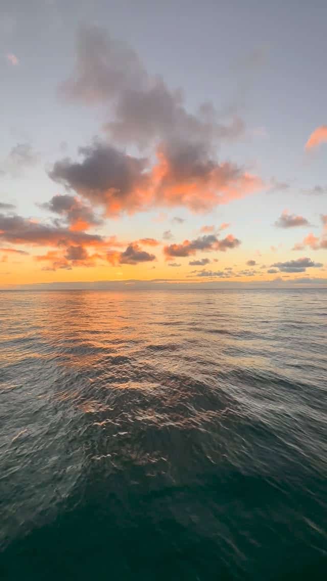 #oahu #hawaii #sunrise