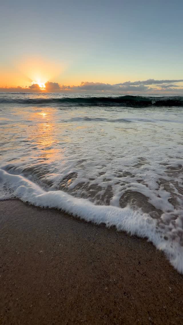 A little piece of Bronte every day 💛