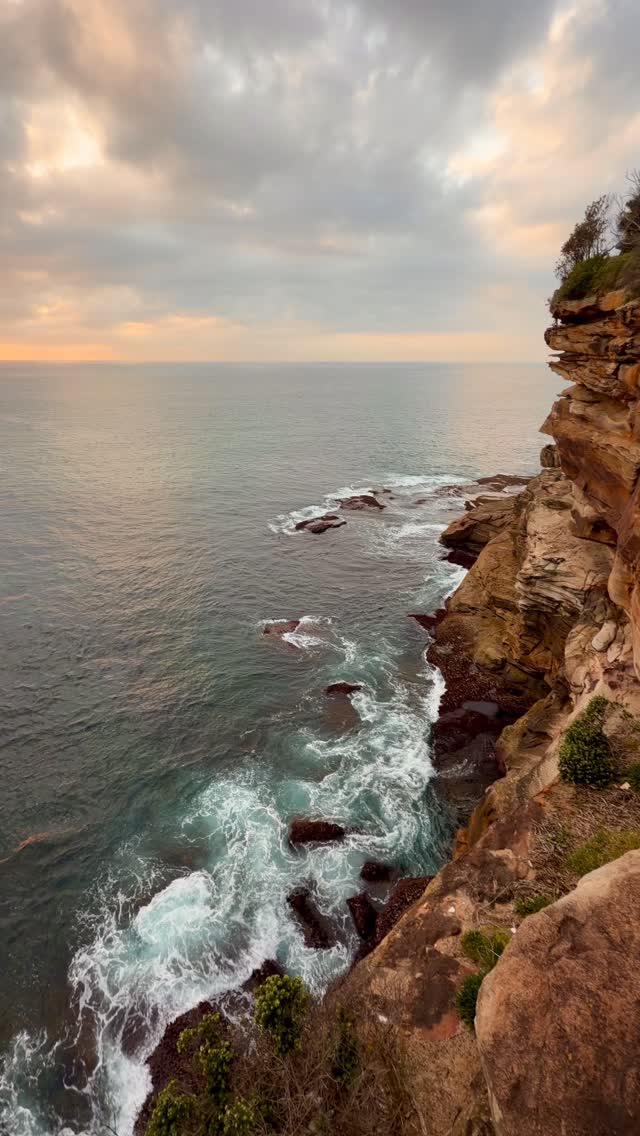 A little piece of Bronte every day 💛