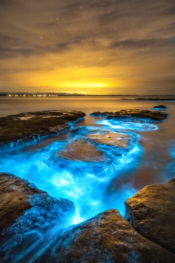 Blue bioluminescence glowing in rock pools at night in Jervis Bay, Australia, beneath a starry sky and warm horizon light along the coastline.