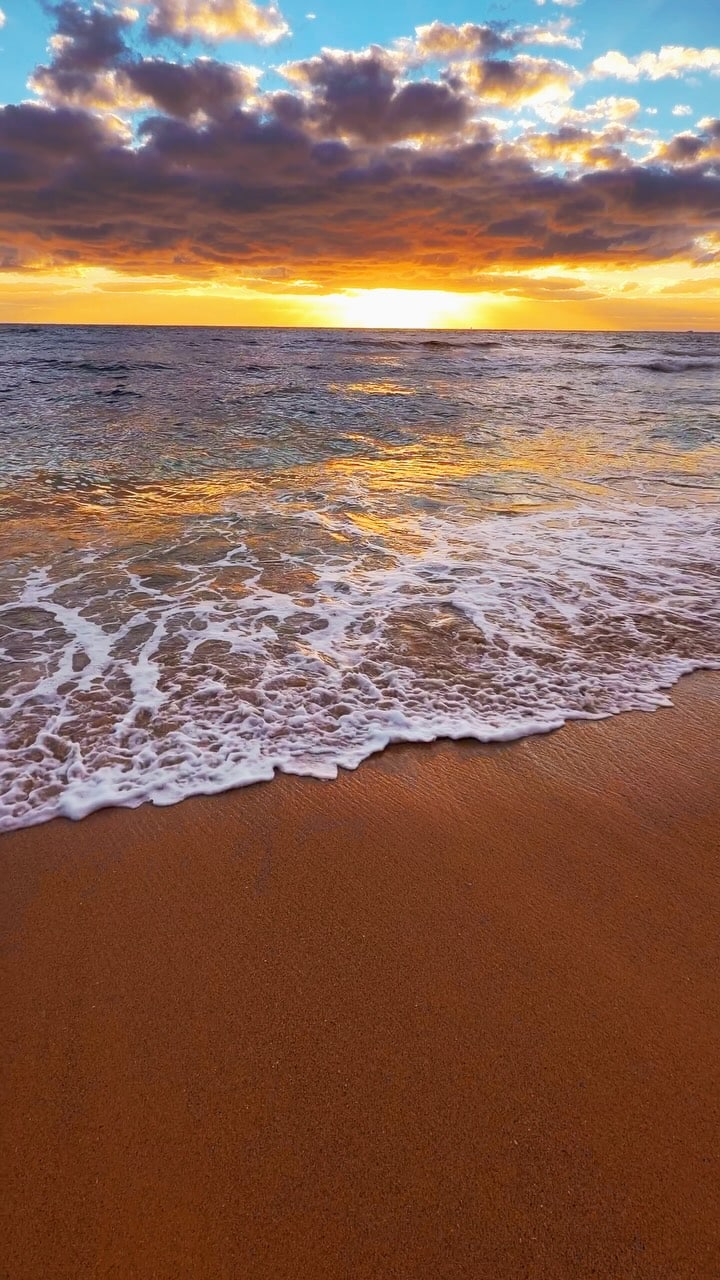 Bronte Beach every day 💛