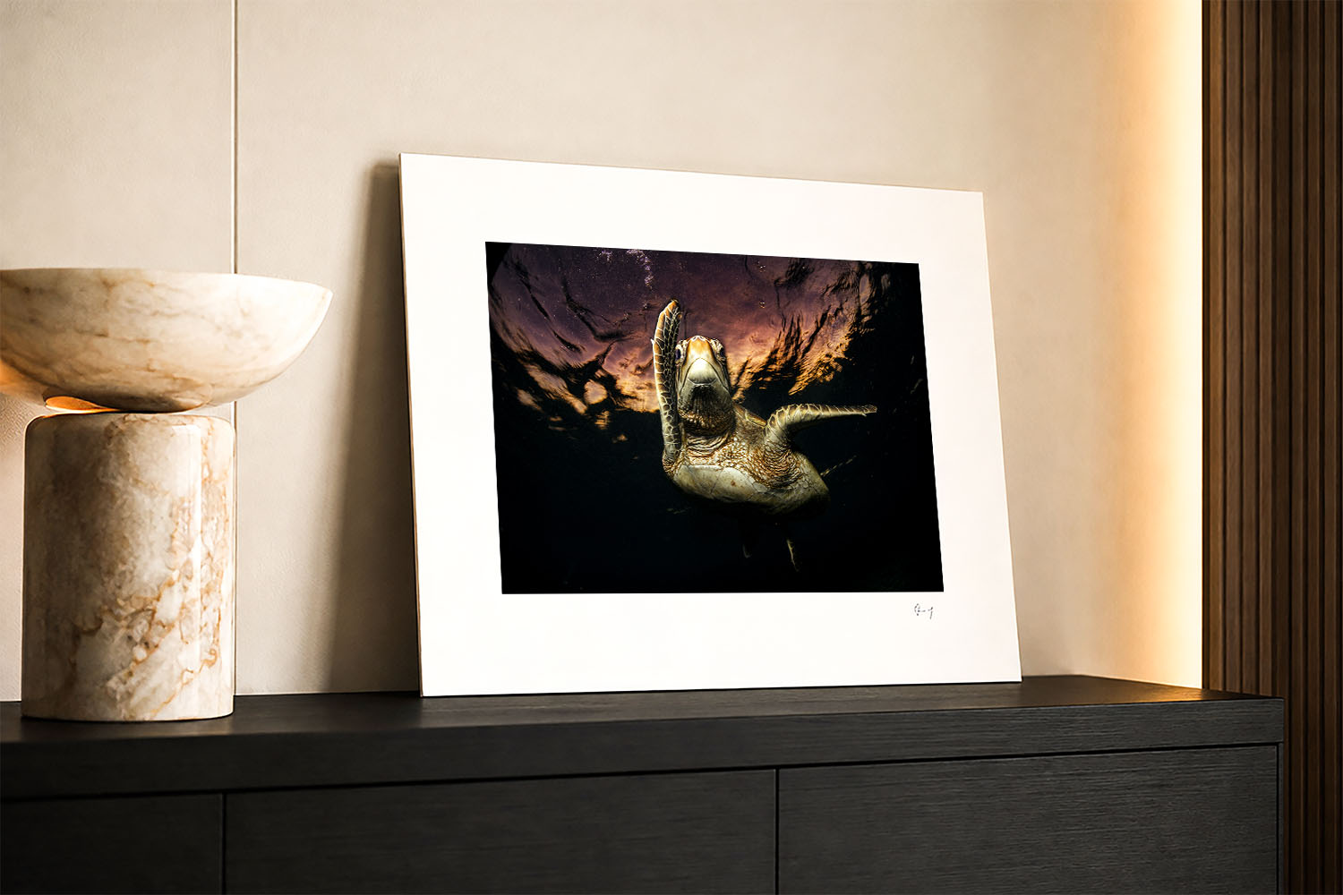Mounted fine art photograph of a green sea turtle at sunset on Lady Elliot Island, displayed in a contemporary coastal interior.