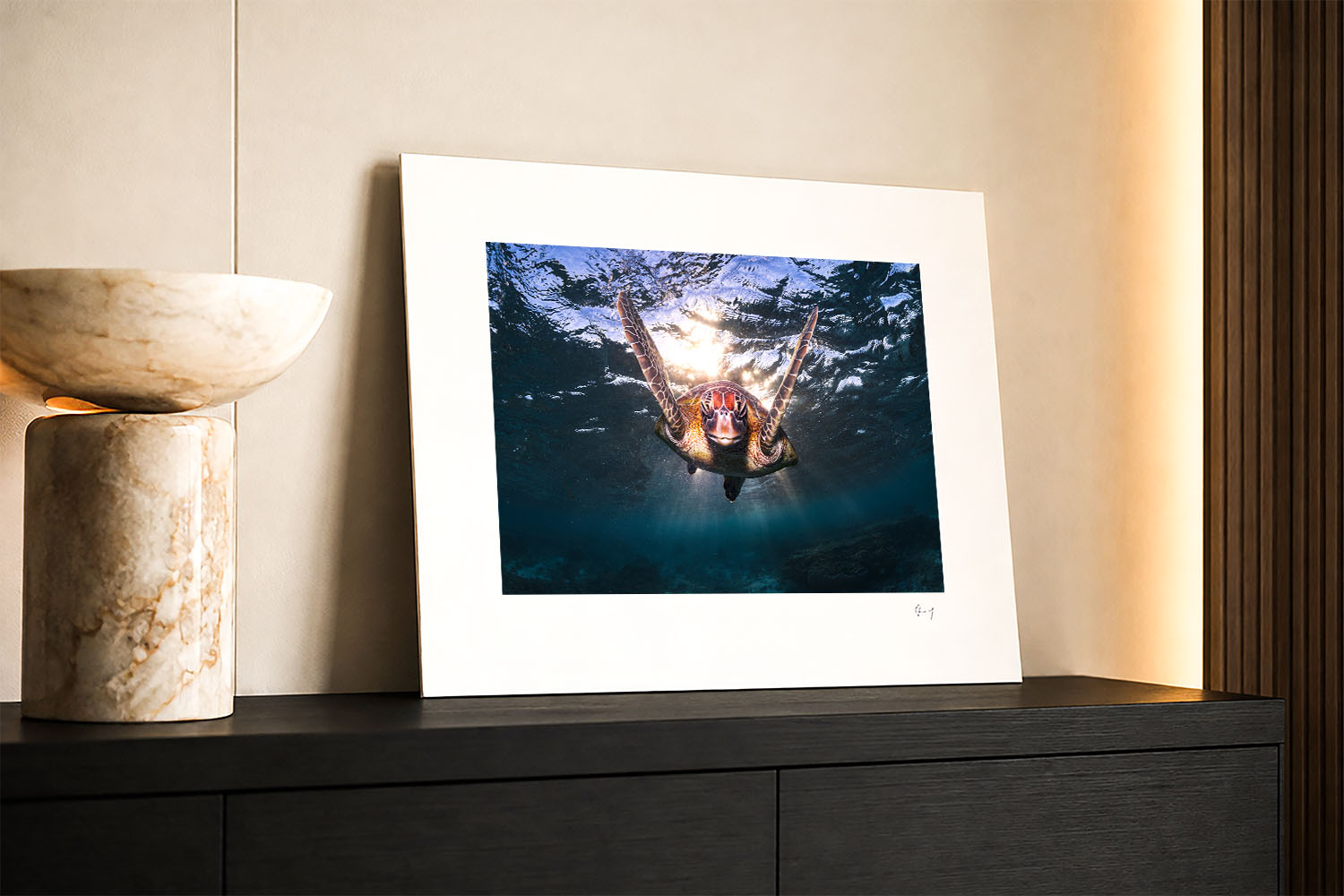 Mounted fine art photograph of a green sea turtle swimming through sunlit water at Lady Elliot Island, displayed in a modern interior.