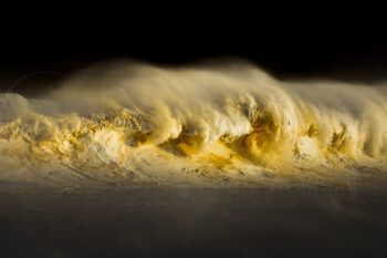 Golden breaking wave illuminated by sunset light at Tamarama Beach, Sydney, Australia, captured in fine art ocean photography.