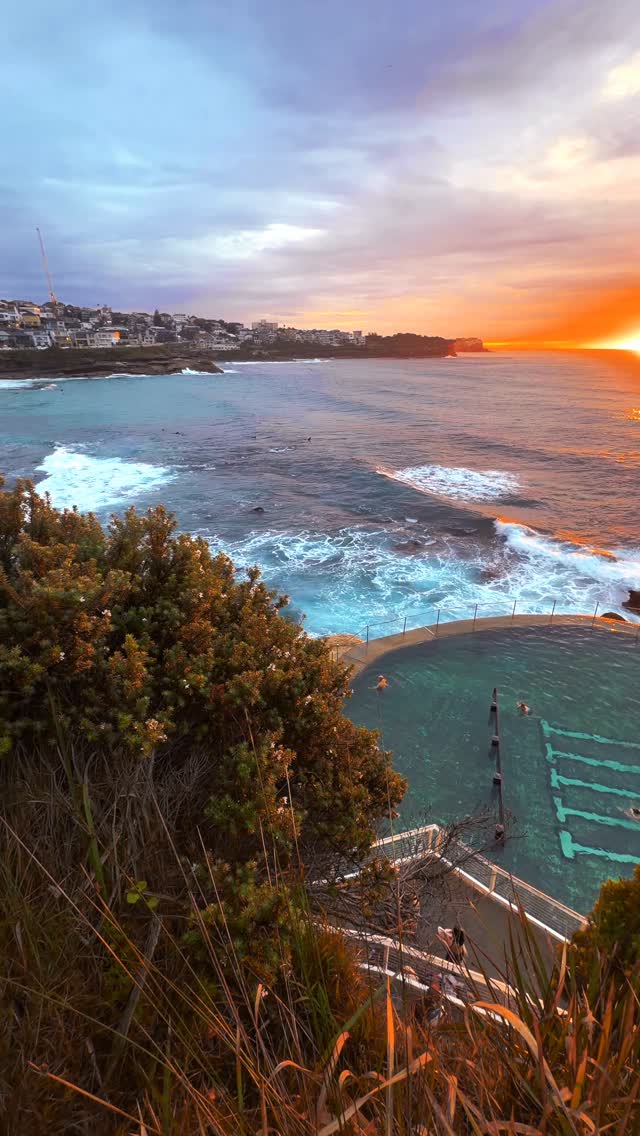 A little piece of Bronte every day 💛