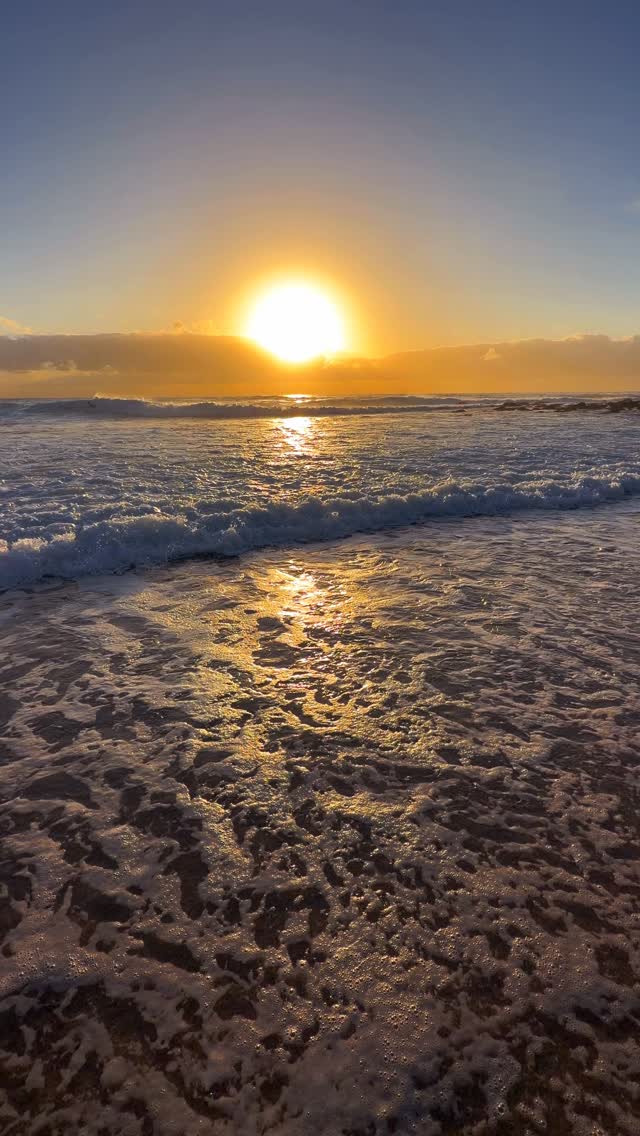 A little piece of Bronte every day 💛