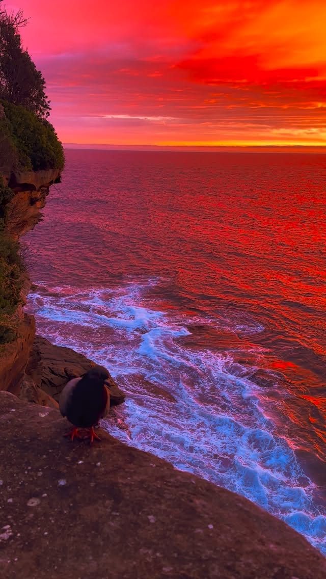 Do sunrises get any better than this 🔥❤️