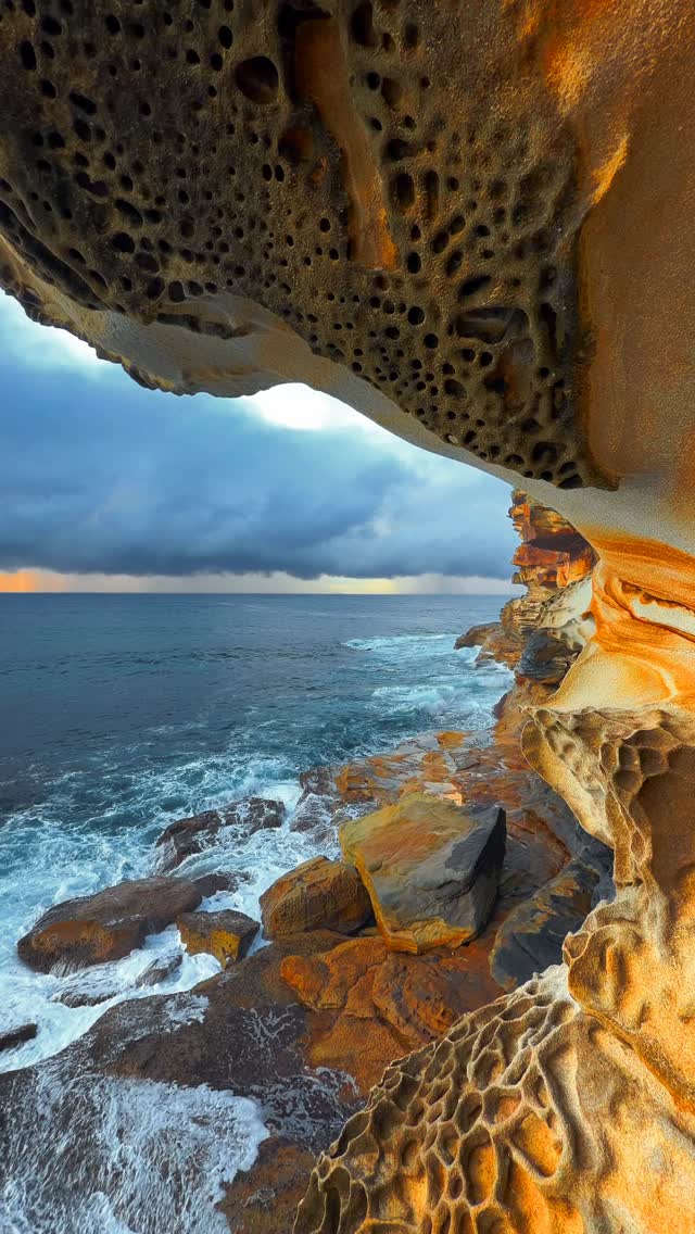A little piece of Bronte every day 💛