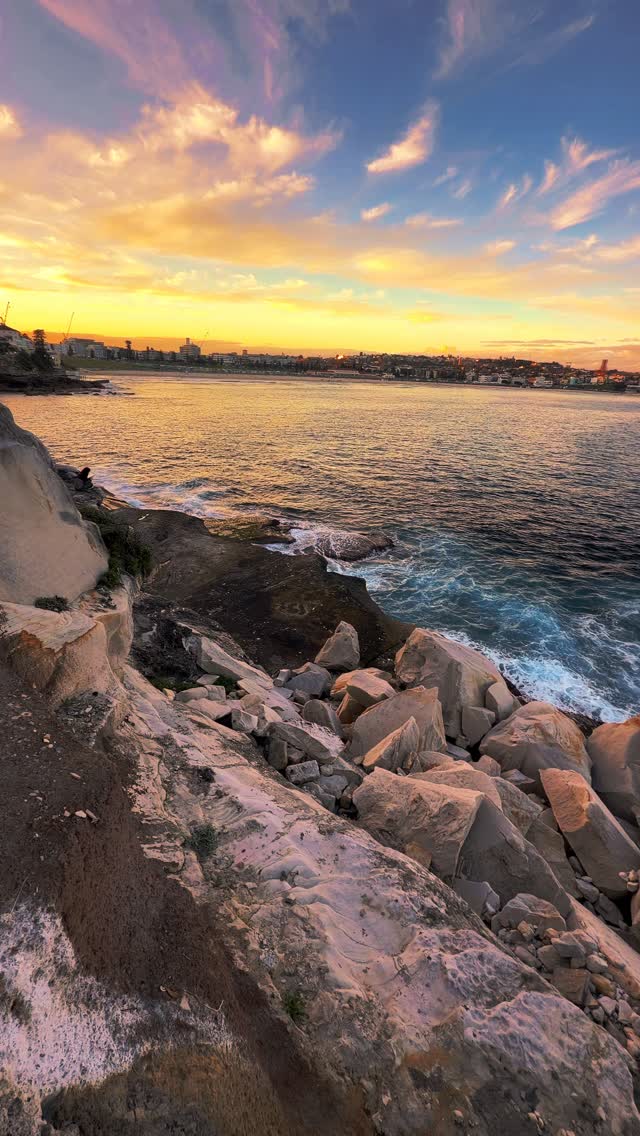 Golden hour at Bondi never gets old 💛