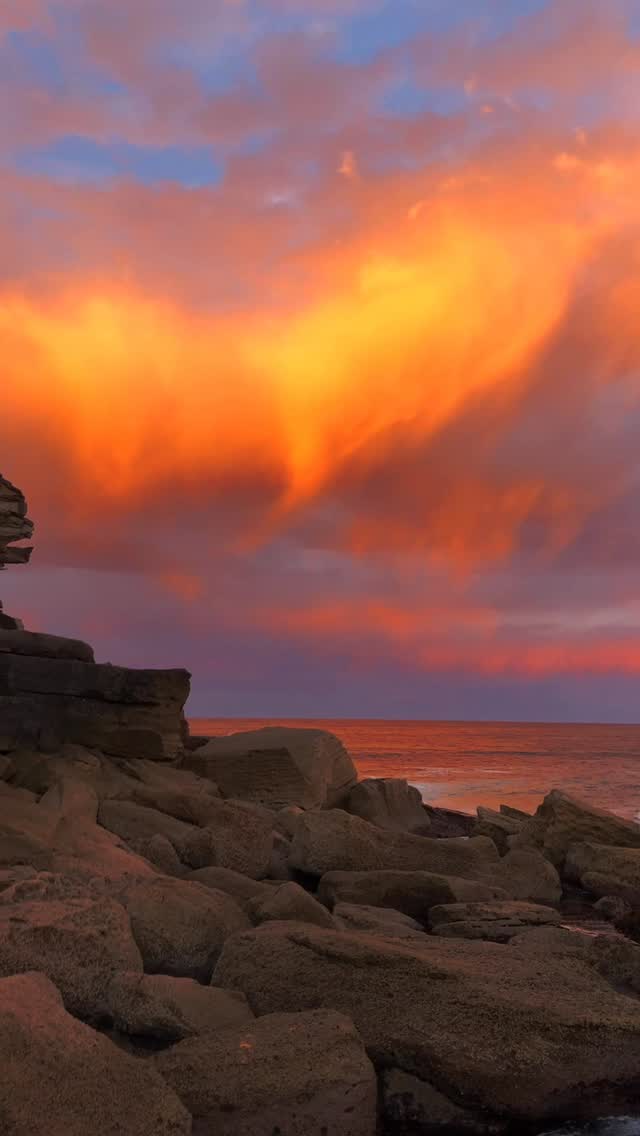 Golden hour at Bondi never gets old 💛