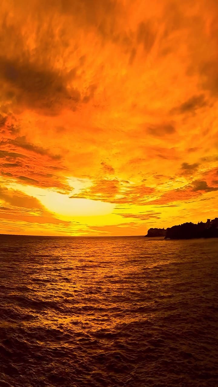 Sydney mornings at their absolute best 🔥❤️