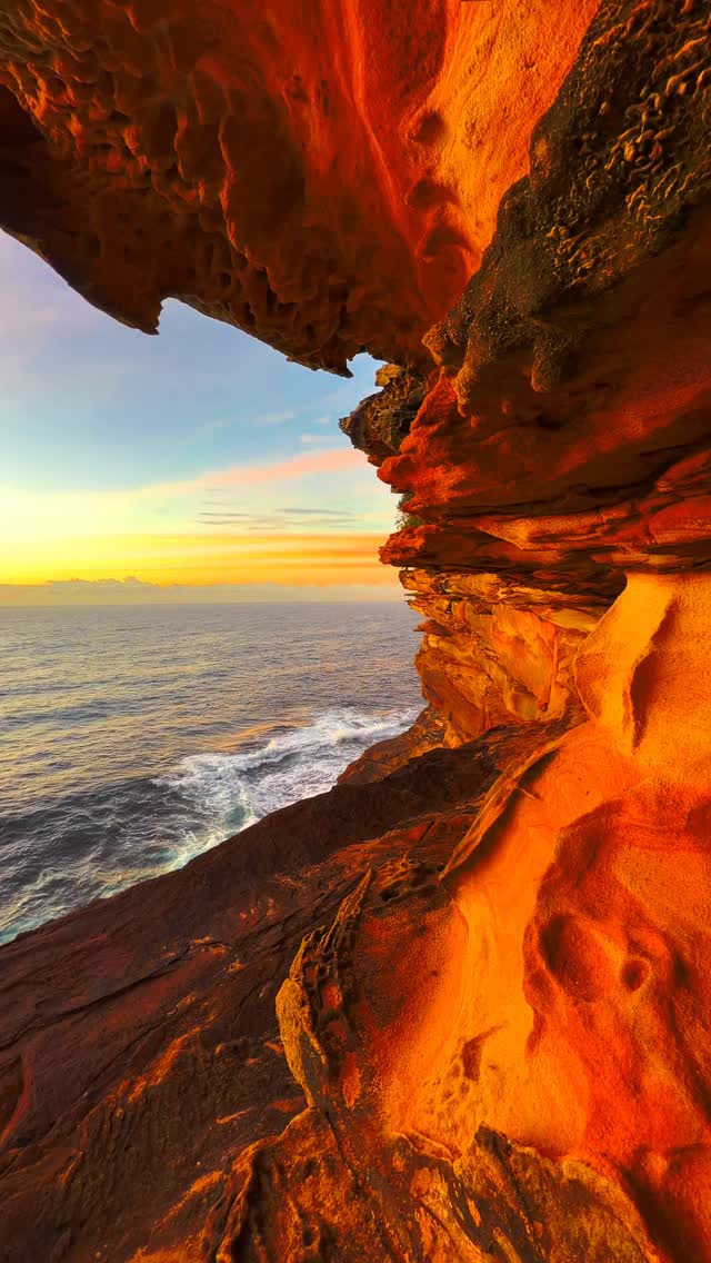 Good morning Sydney 💛