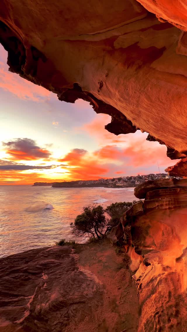 If heaven has an ocean view...💛