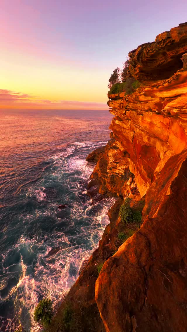 A little piece of Bronte every day 💛