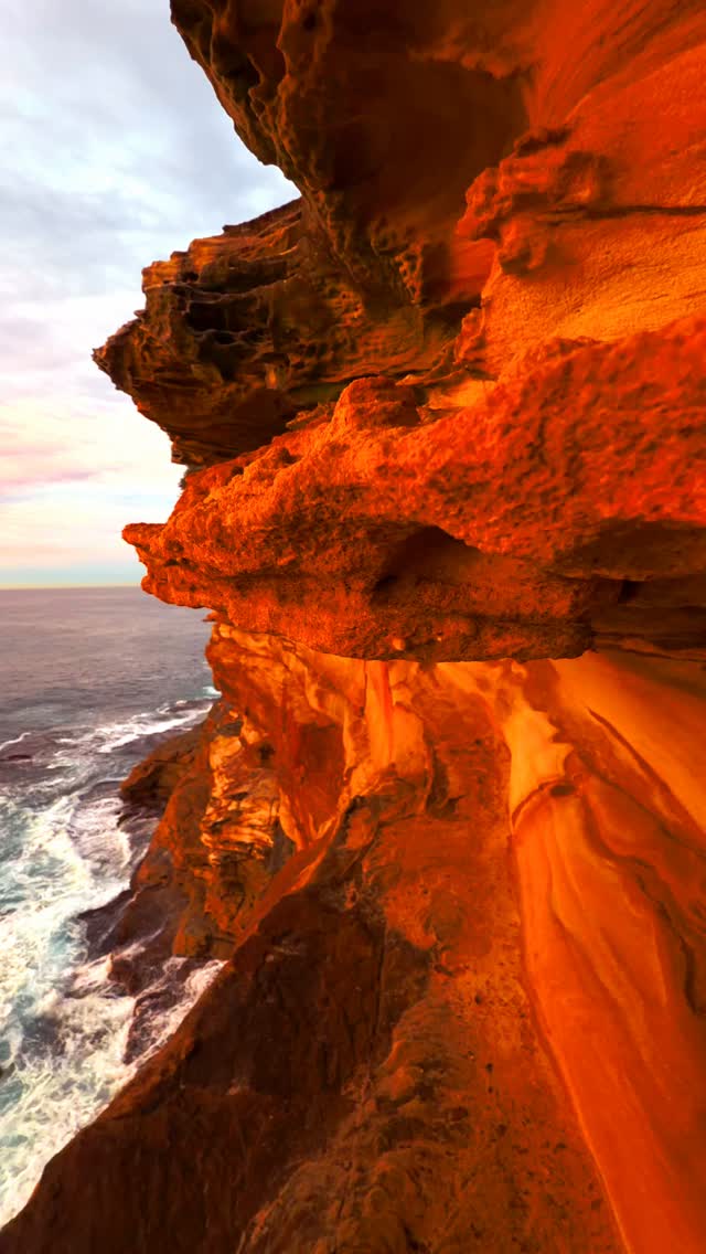 Sydney mornings at their absolute best 🔥