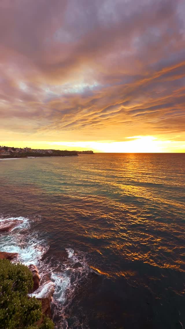 Bronte Beach every day 💛