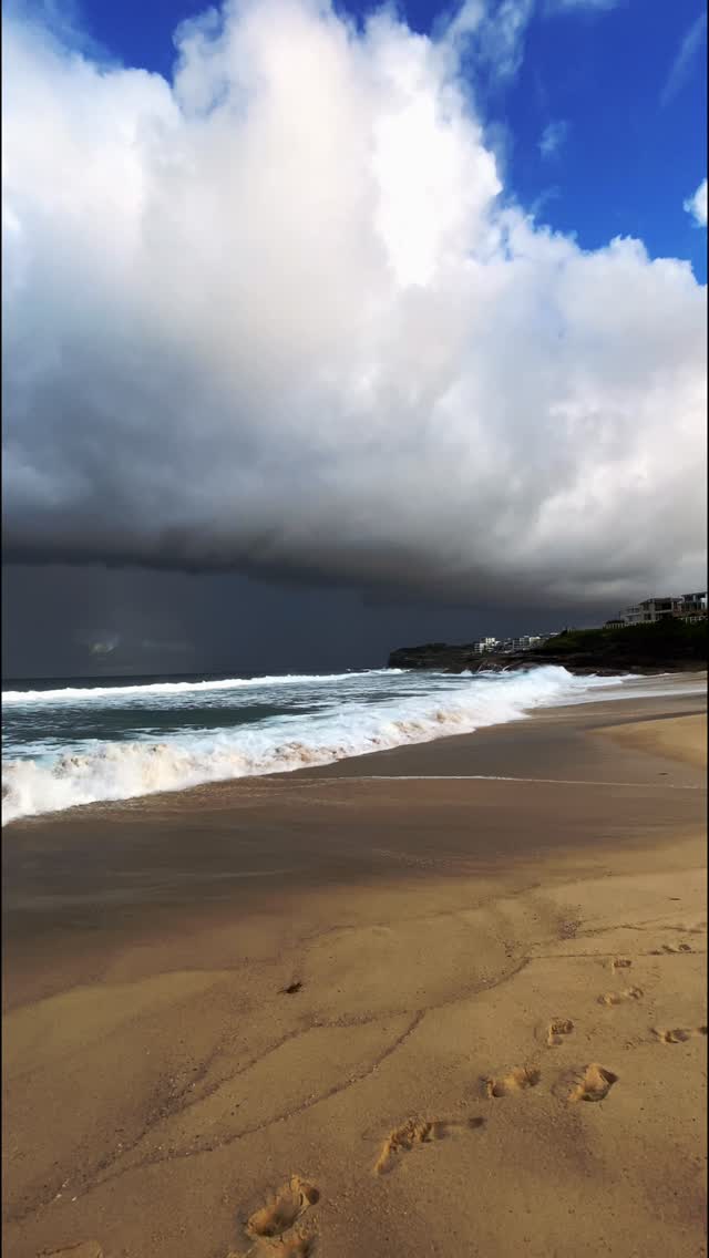🤍🩵🌊