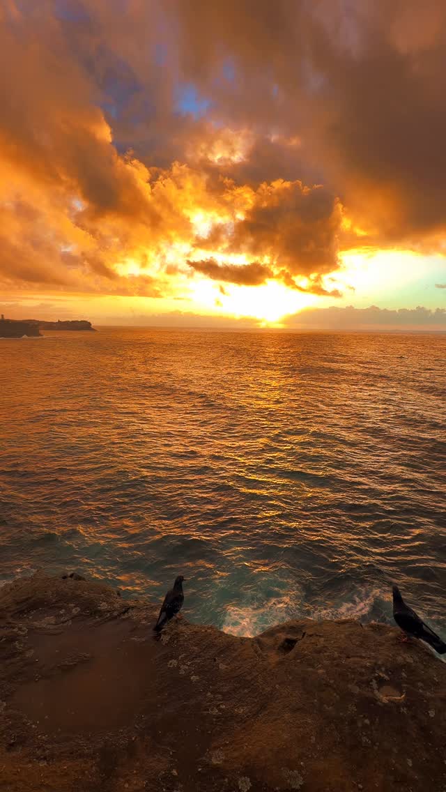 The best sunrise spot in Sydney 🙌🏼