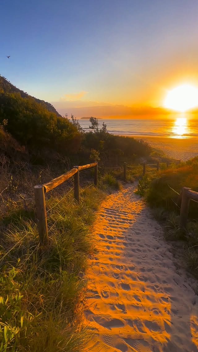 The path to paradise isn’t paved. It’s covered in sand 💛