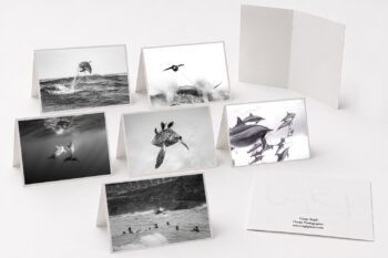 Black and White Collection fine art greeting cards featuring original ocean and wildlife photography.