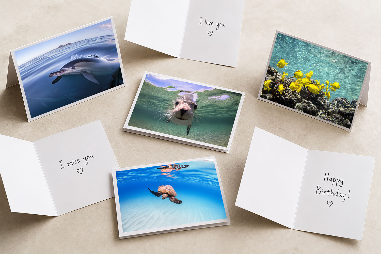 Ocean Wildlife Collection featuring six premium fine art greeting cards with original underwater wildlife photography