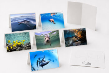 Ocean Wildlife Collection fine art greeting cards featuring original underwater and marine wildlife photography.
