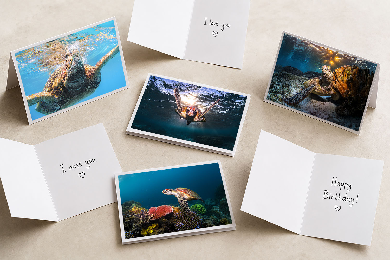 Sea Turtle Collection featuring six premium fine art greeting cards with original sea turtle photography from Australia and Hawaii.