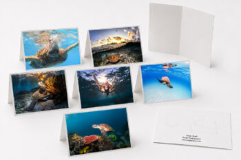 Sea Turtle Collection fine art greeting cards featuring original underwater sea turtle photography from Australia and Hawaii.