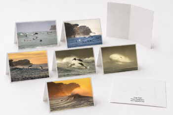 Sydney Dolphins Collection fine art greeting cards featuring original dolphin and ocean photography from Sydney