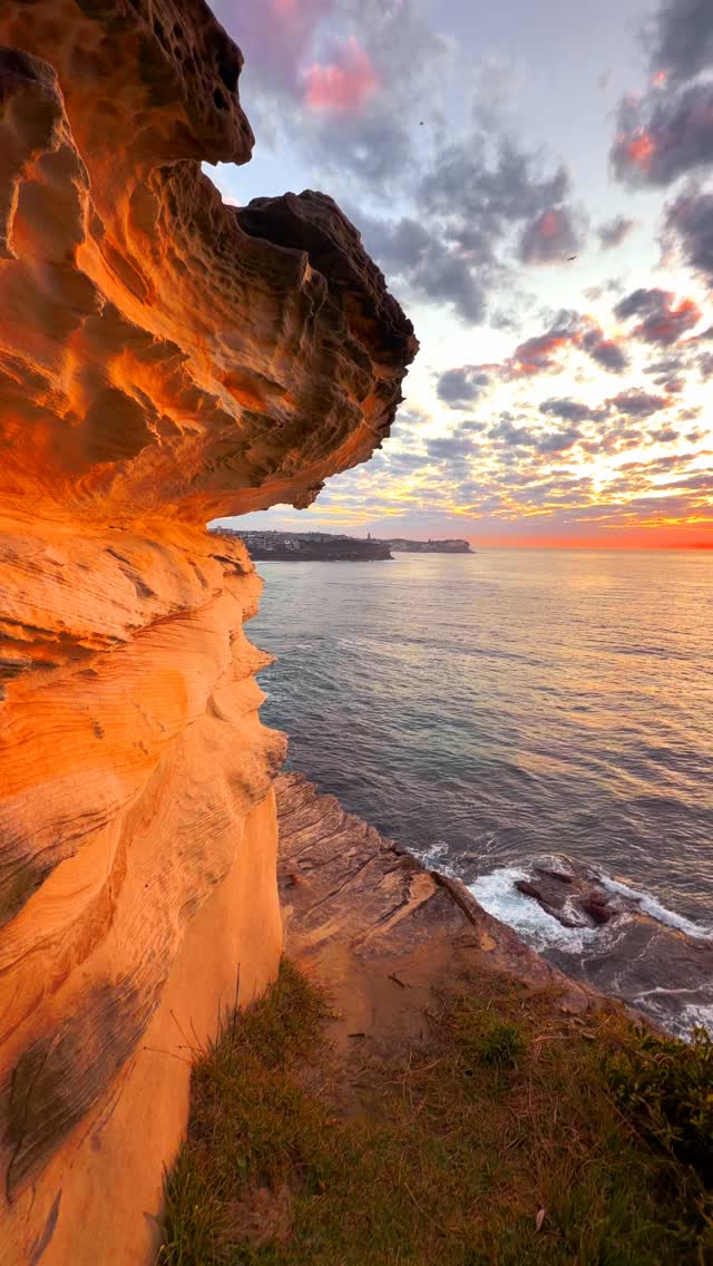 A little piece of Bronte every day 💛