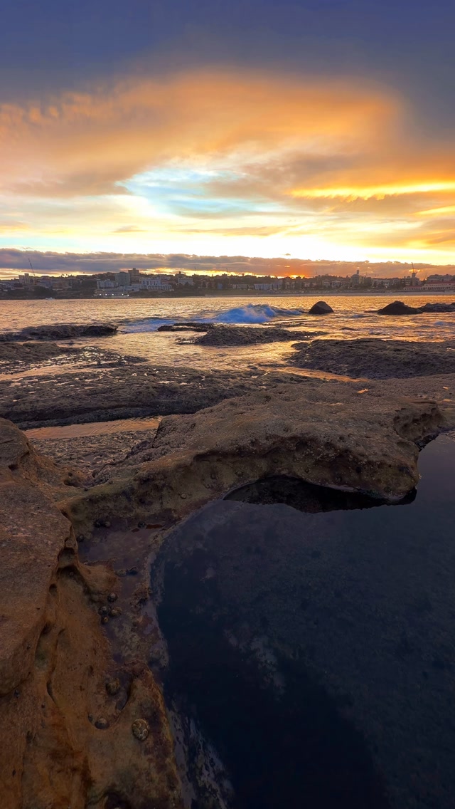 When Bondi turns gold 💛