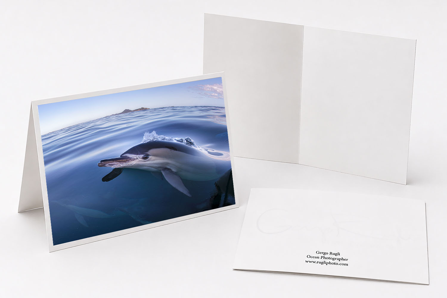 Common dolphin greeting card featuring original fine art photography from Port Stephens, Australia.