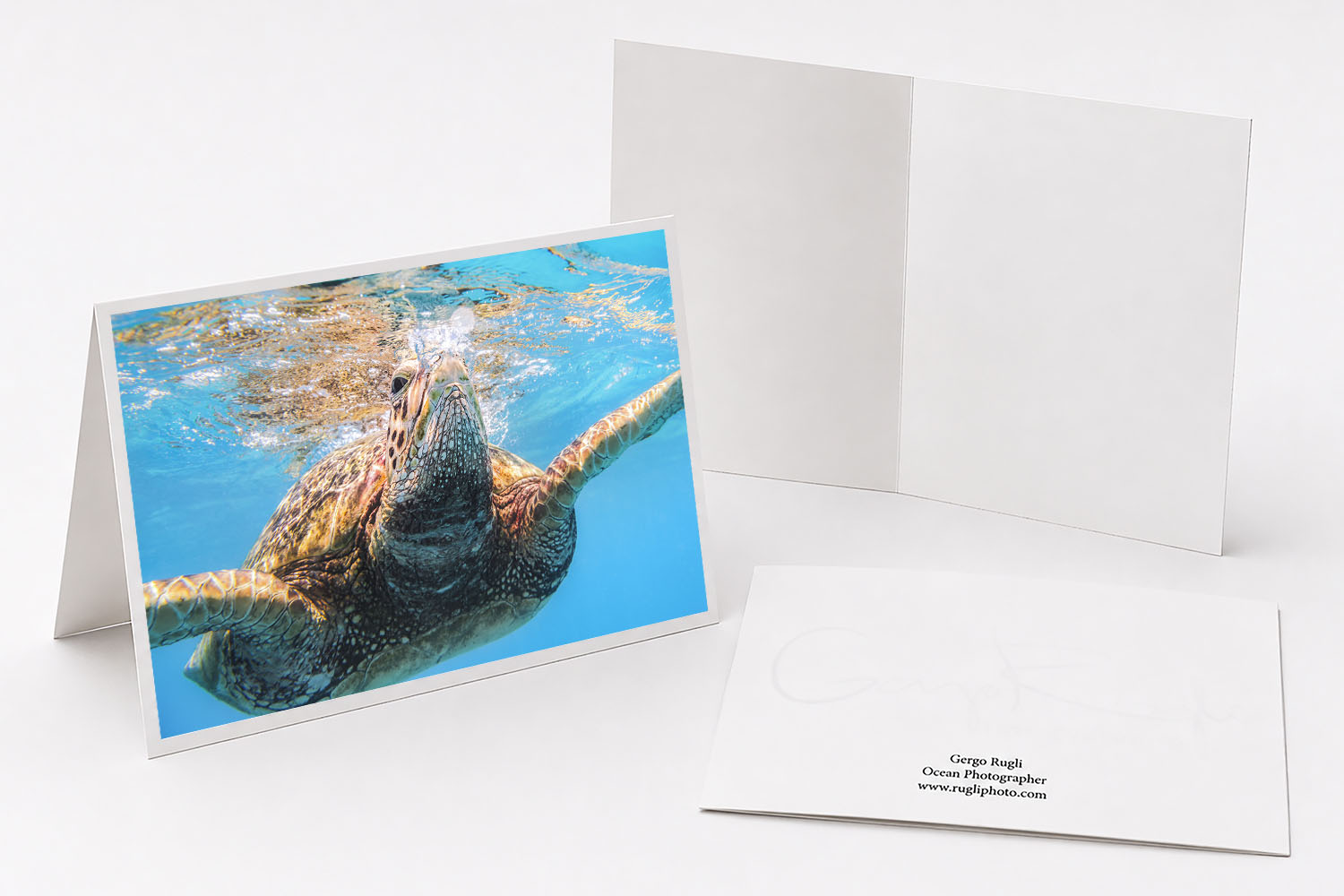 Green sea turtle swimming beneath the surface fine art greeting card featuring original photography from Oahu, Hawaii
