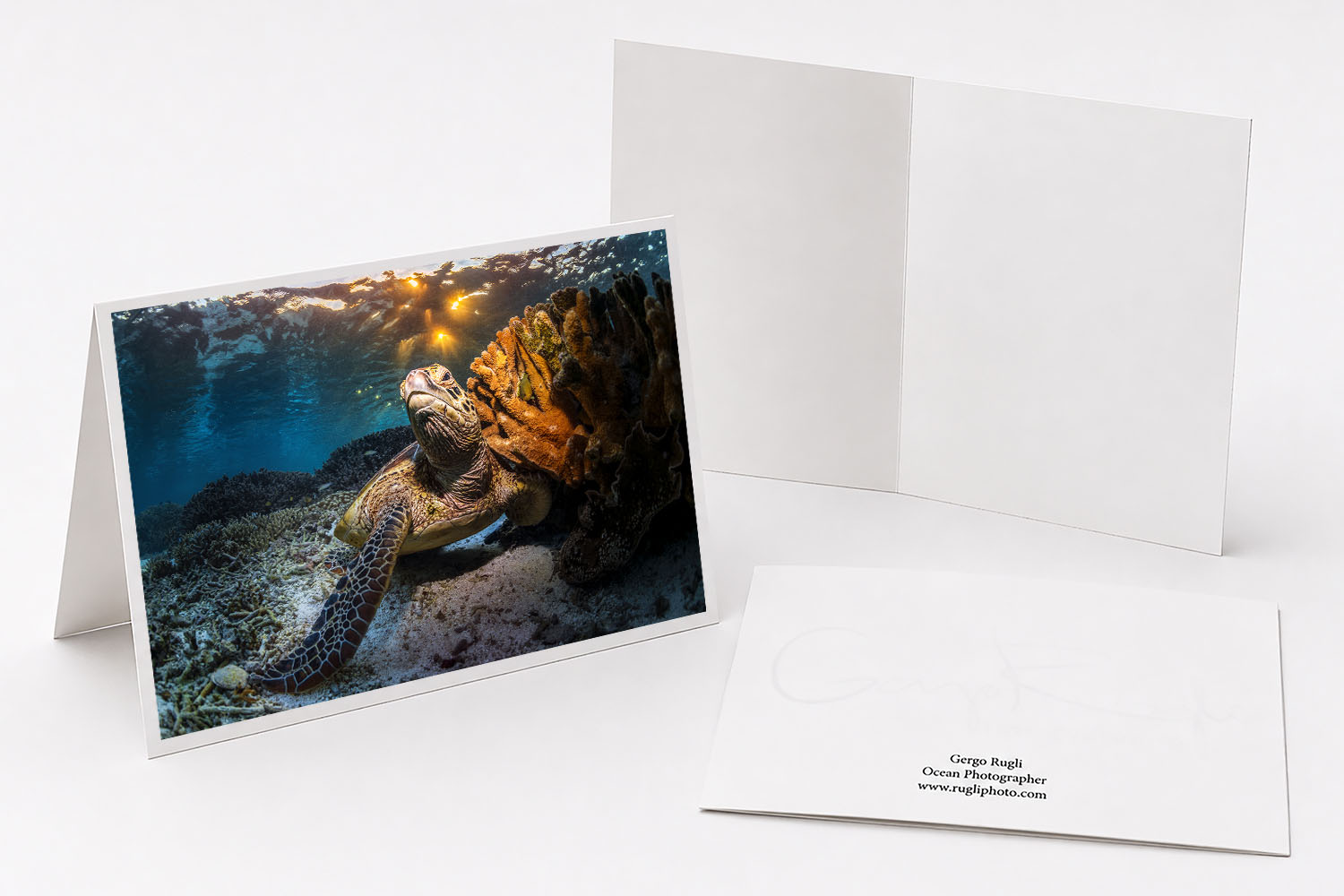 Green sea turtle greeting card featuring original underwater fine art photography from Lady Elliot Island, Australia.