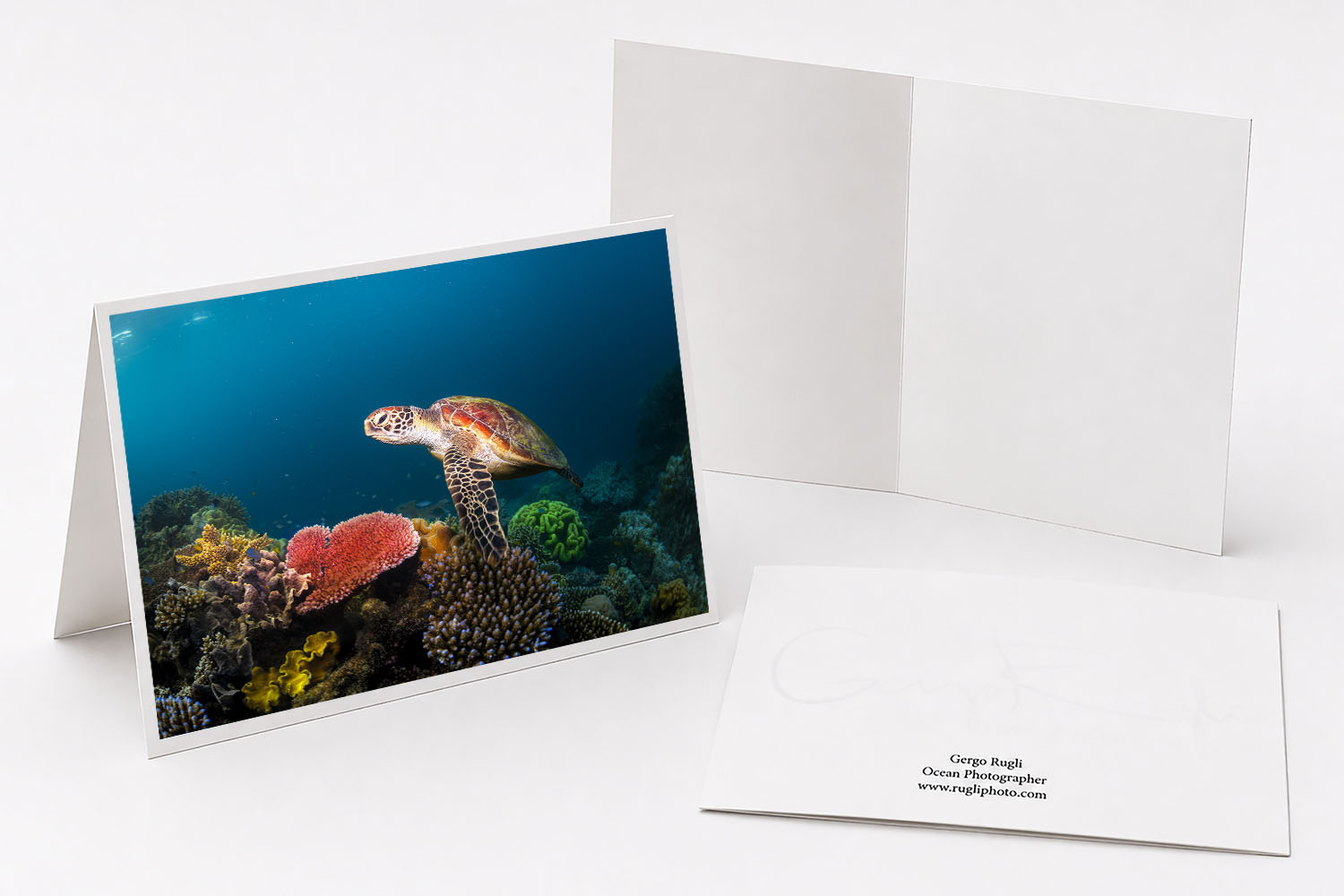 Green sea turtle beside coral fine art greeting card featuring original photography from Cairns, Australia.