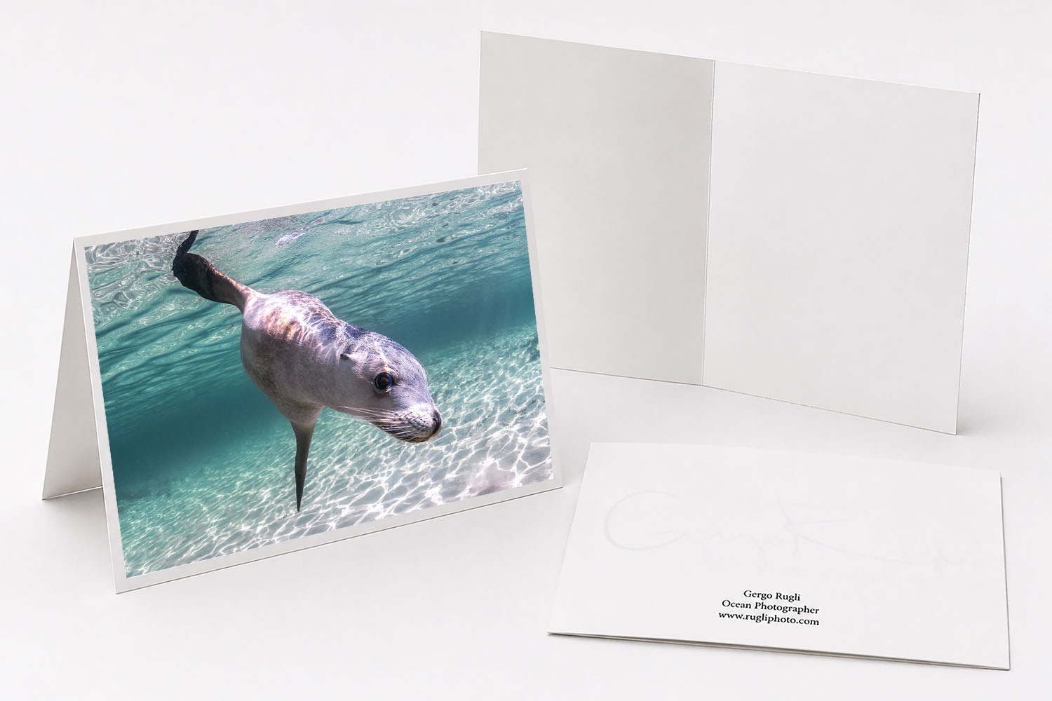 Australian sea lion underwater portrait fine art greeting card featuring original photography from South Australia.