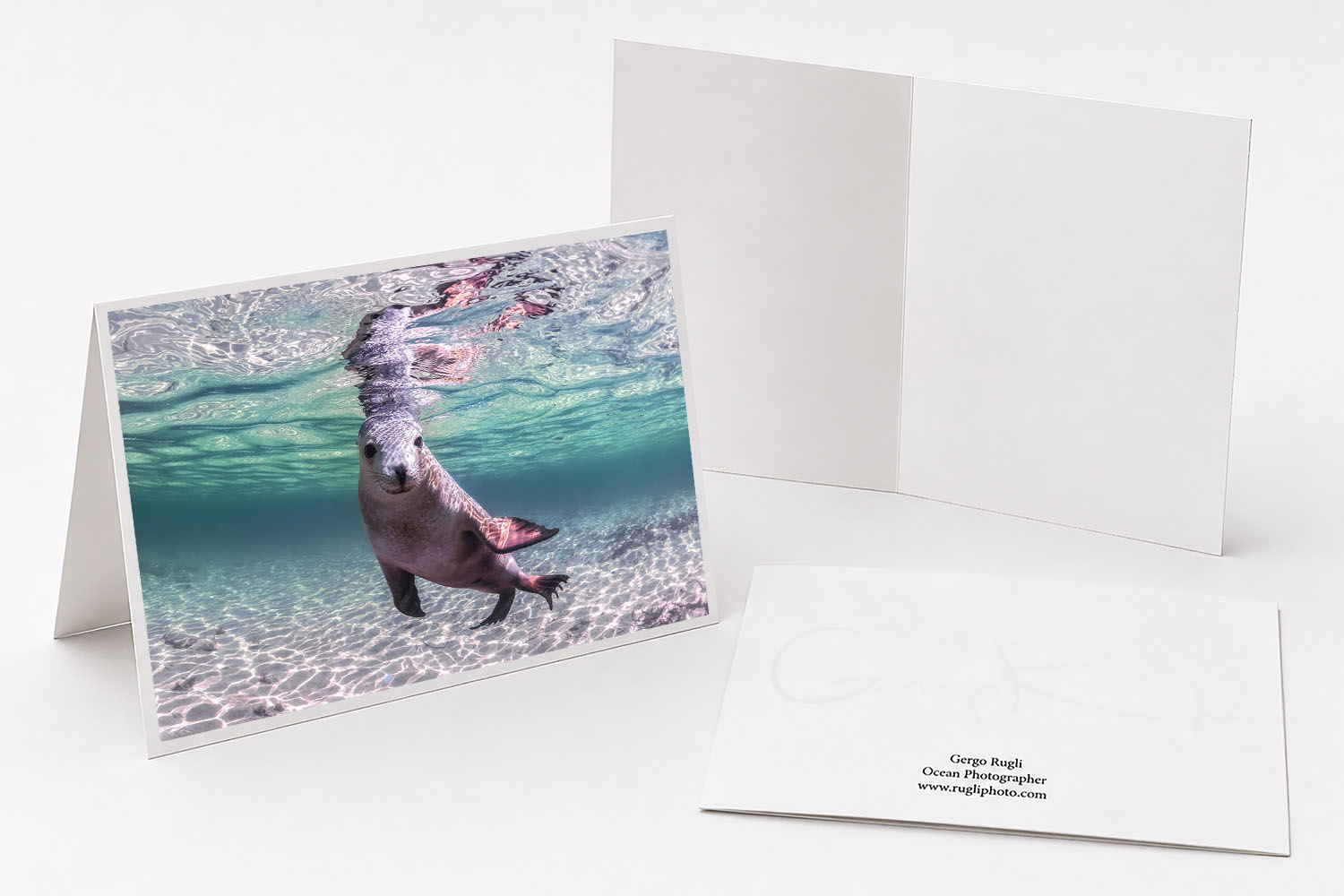 Australian sea lion swimming through clear water fine art greeting card featuring original photography from South Australia.