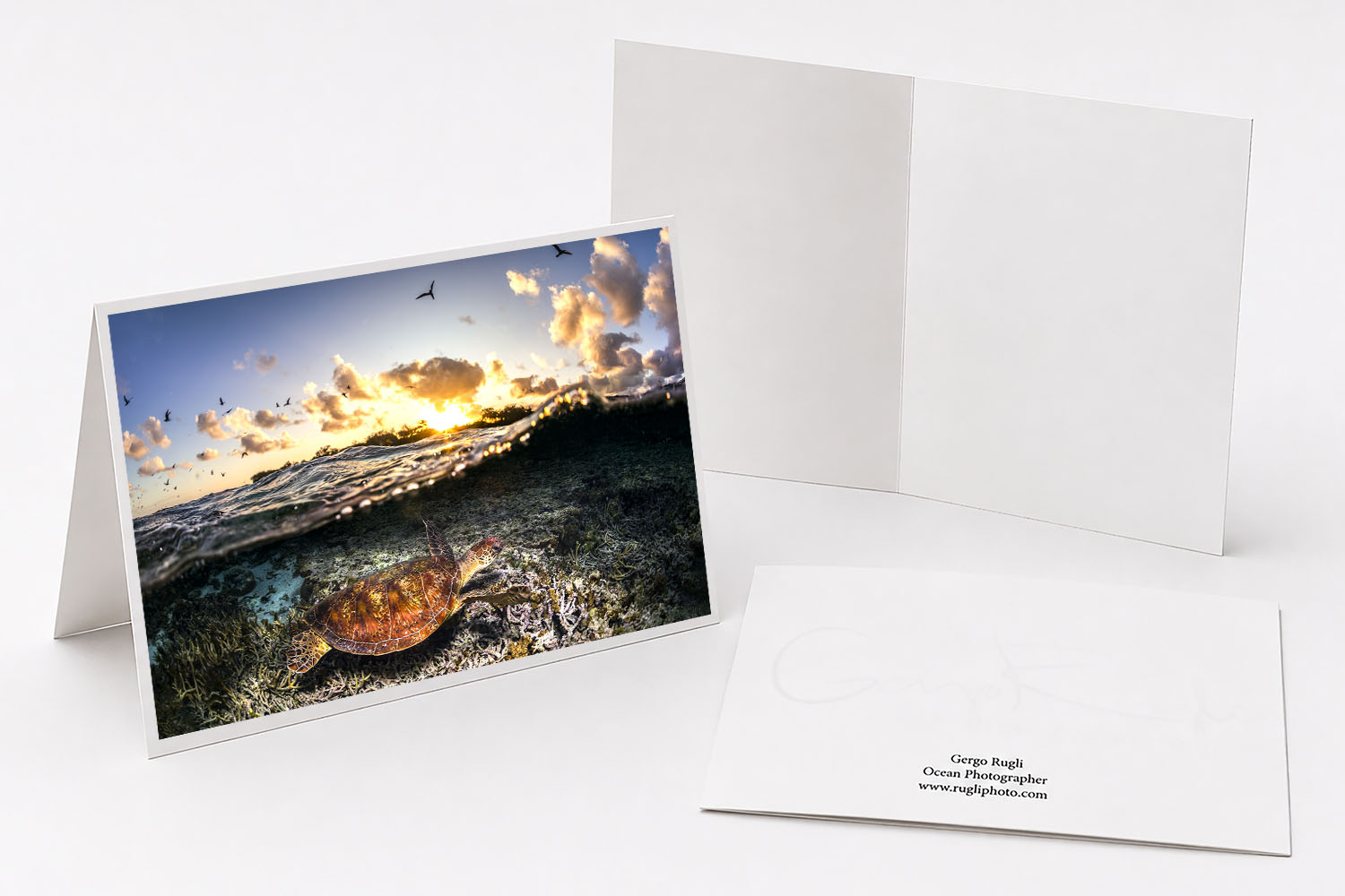 Green sea turtle swimming above a colourful coral reef fine art greeting card featuring original photography from Lady Elliot Island.