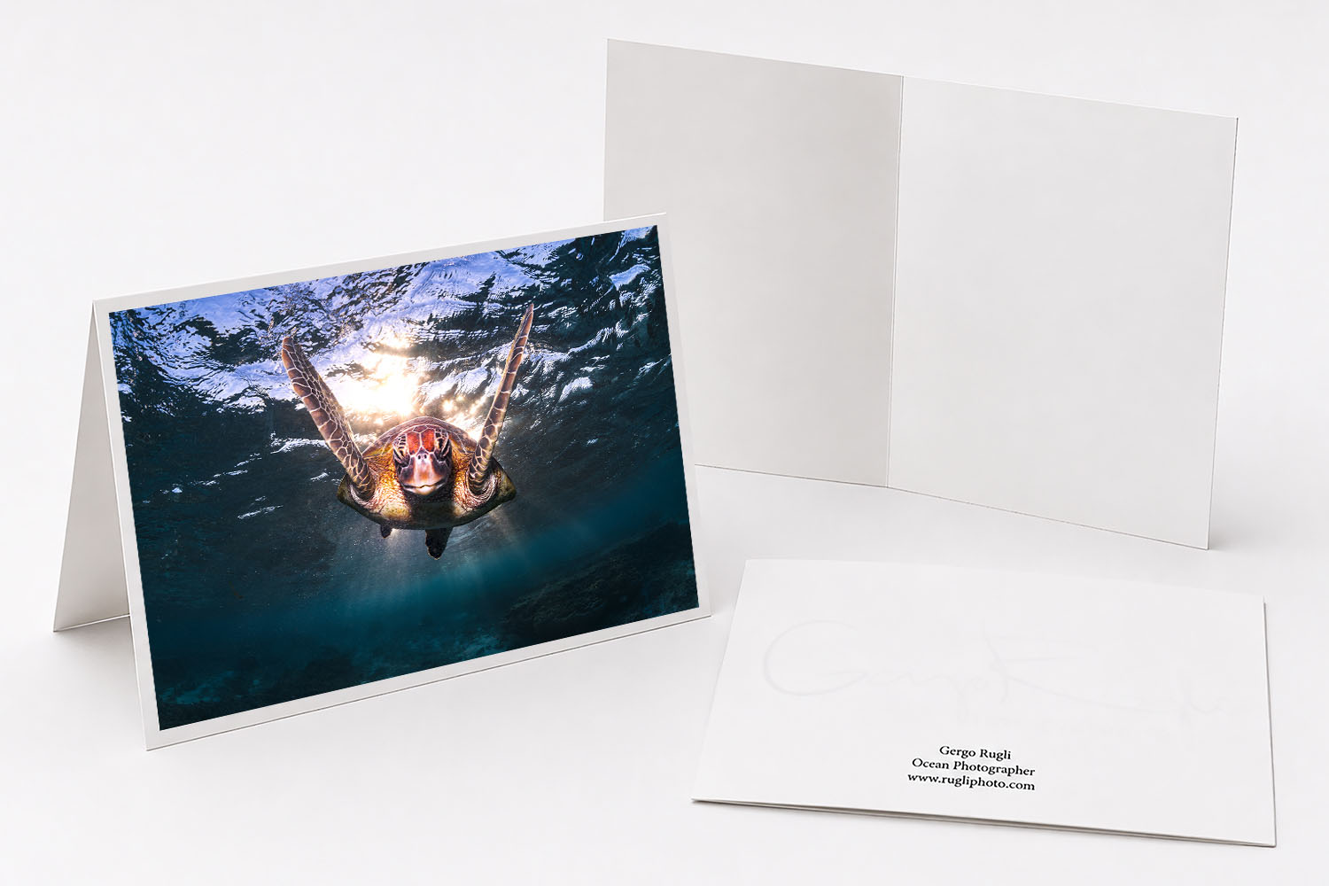Green sea turtle swimming towards the camera fine art greeting card featuring original photography from Lady Elliot Island.