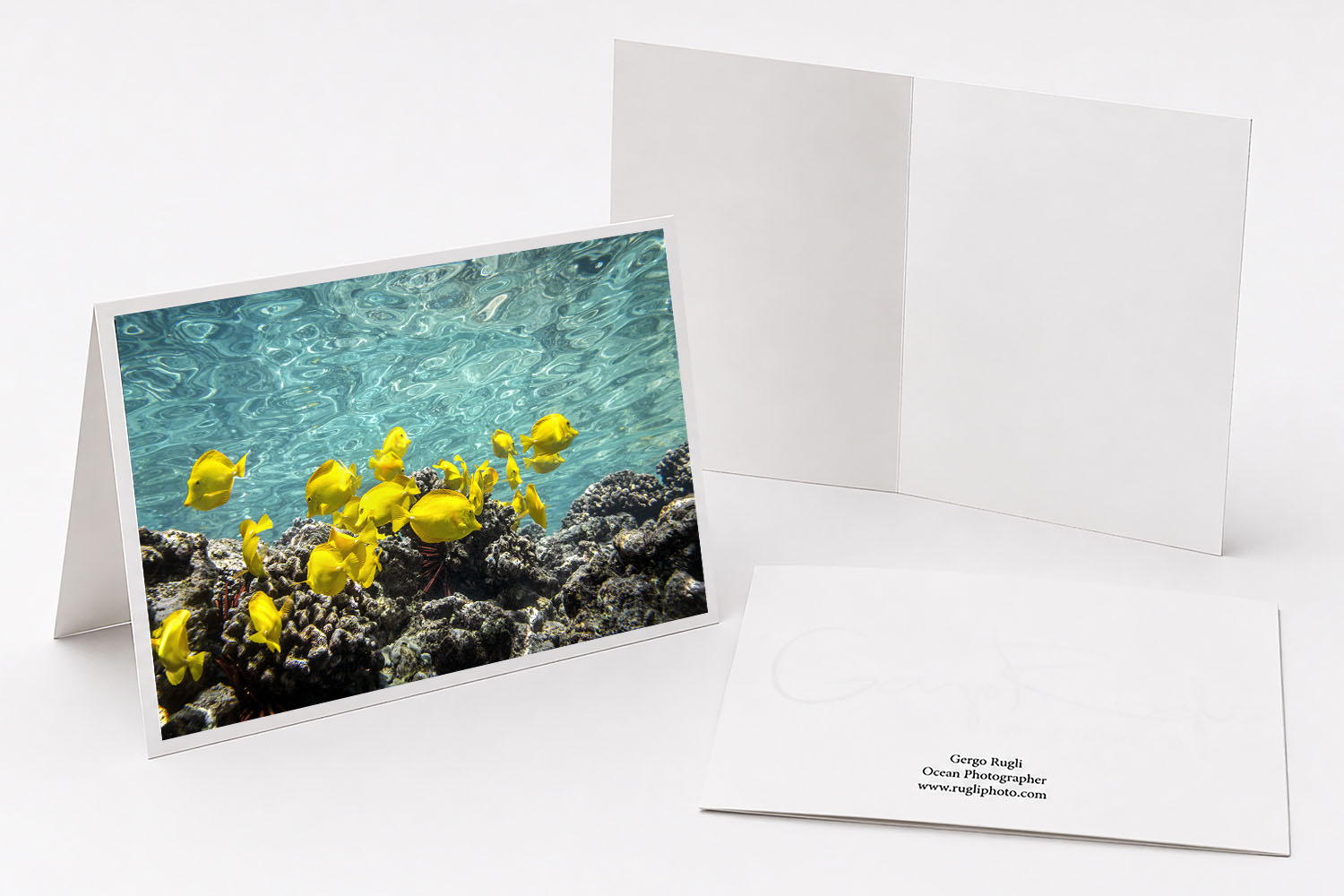 Yellow tang fish greeting card featuring original underwater fine art photography from Hawaii.