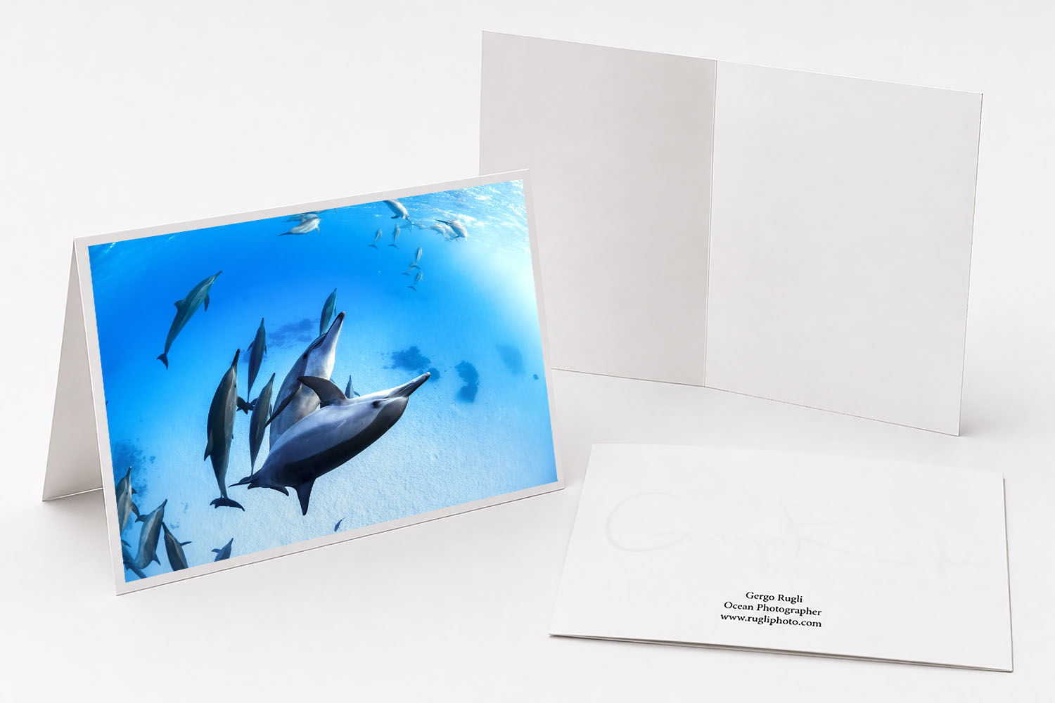 Spinner dolphin greeting card featuring original underwater fine art photography from Sataya Reef, Egypt.