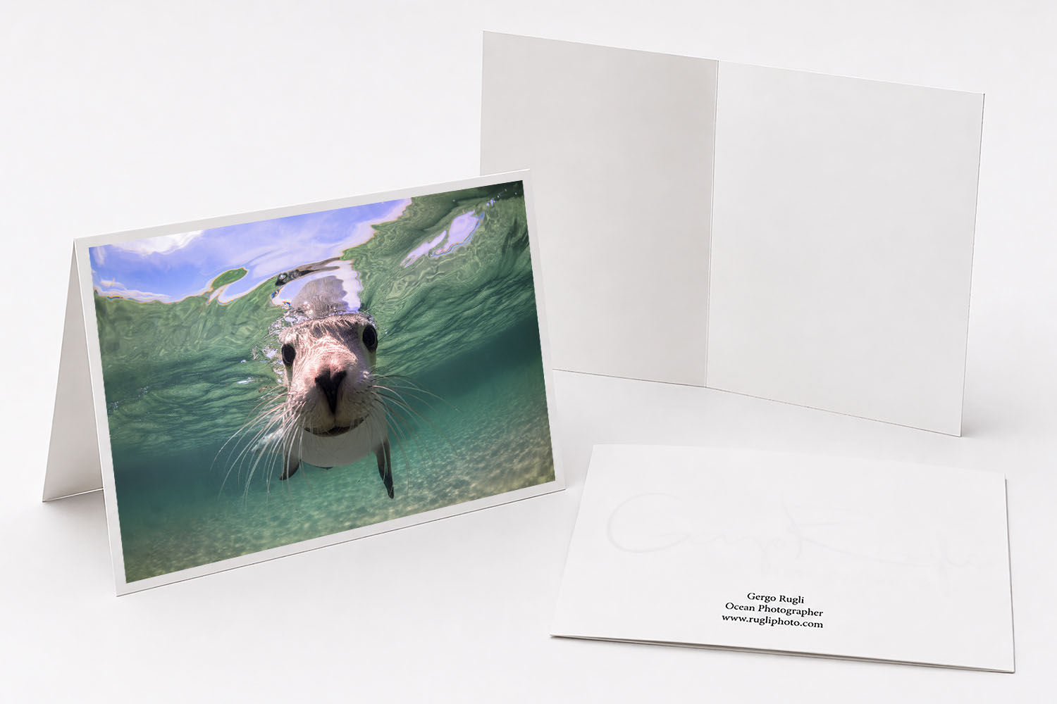 Australian sea lion greeting card featuring original underwater fine art photography from Baird Bay, South Australia.
